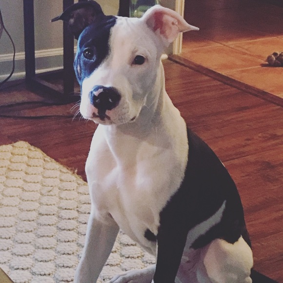 *Boston raised/free-spirited Gypsy Soul* - Picture 3 of 4