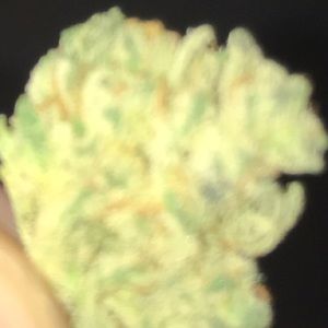 Meet your Posher, Dylan