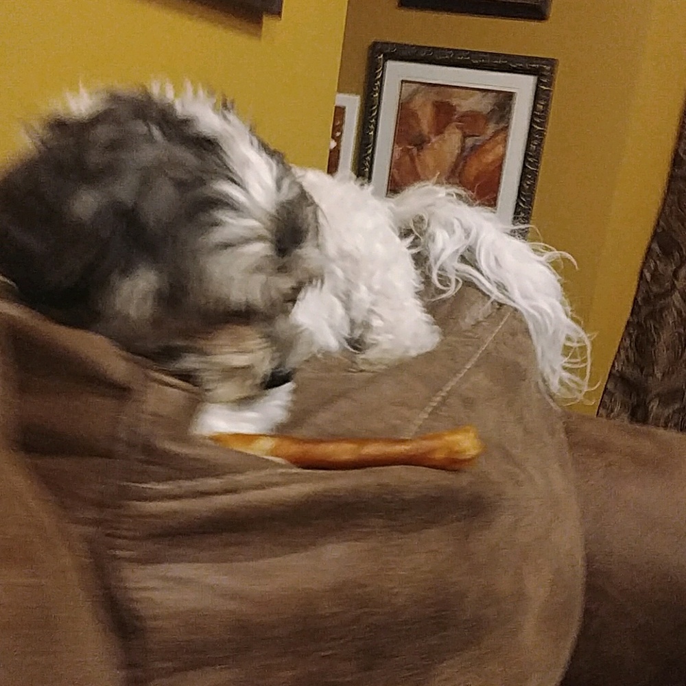 Meet your Posher, Cristina