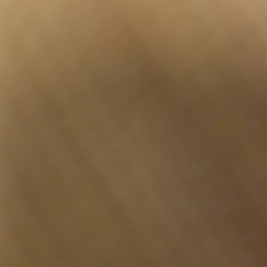 Meet your Posher, Mitzie