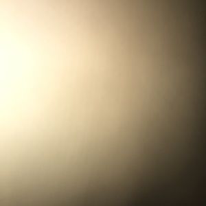 Meet your Posher, Cecilia