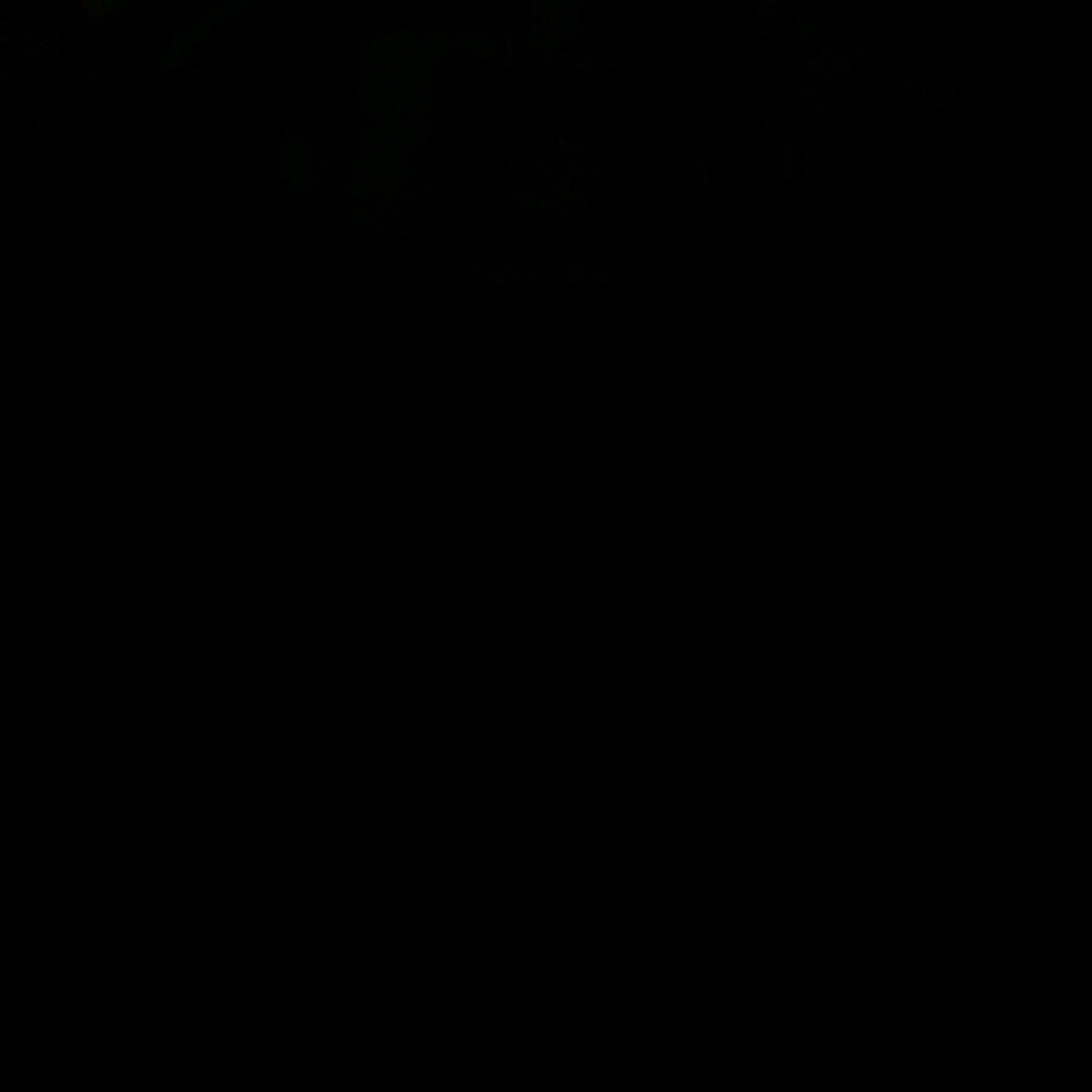 Meet your Posher, Alison