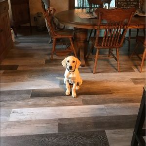 Meet your Posher, Taylor