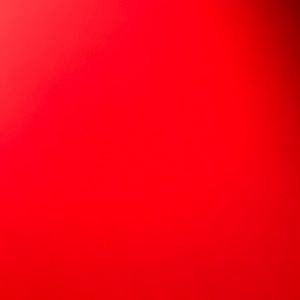 Meet your Posher, Whitney