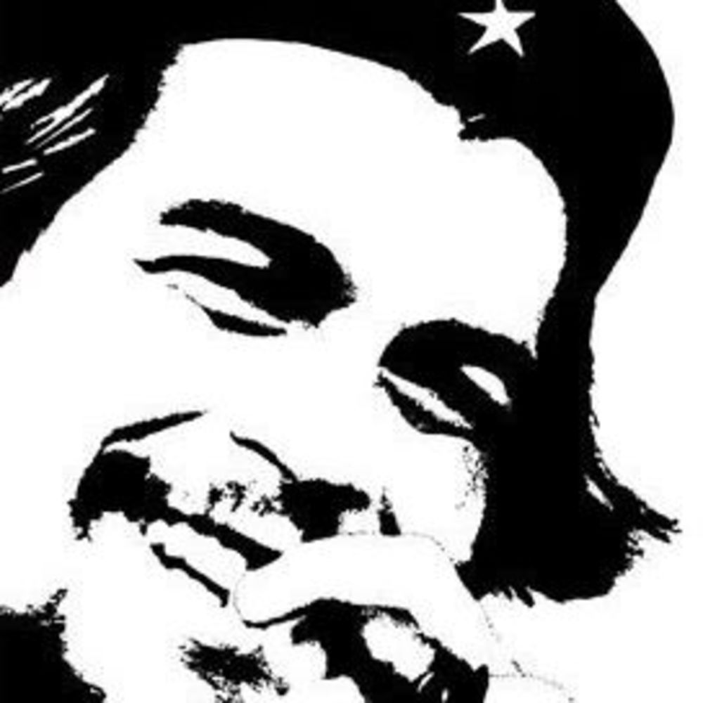 Meet your Posher, Bertholomeu