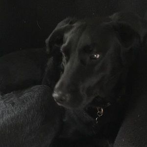 Meet your Posher, Evan