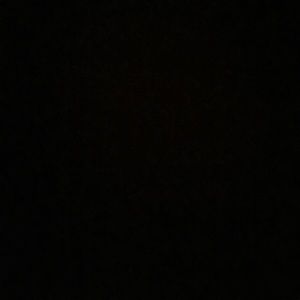 Meet your Posher, Mia