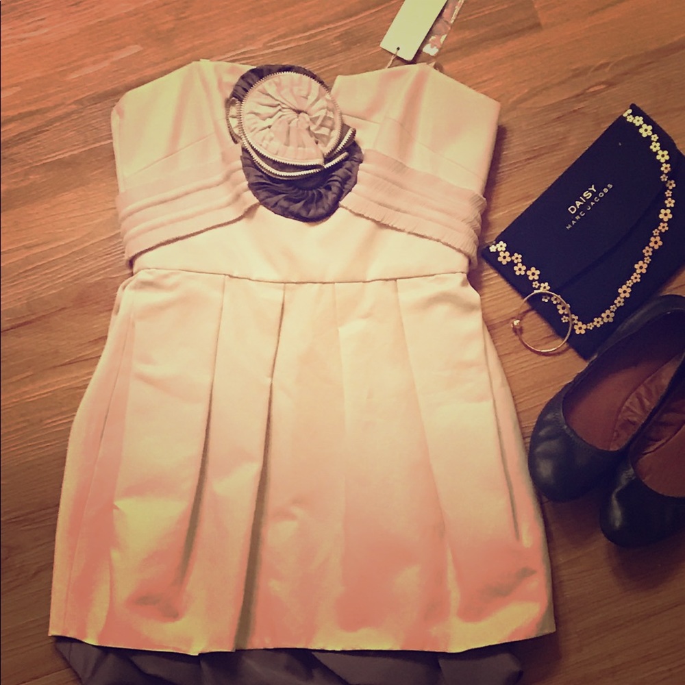 BCBG Maxazria Runway Dress