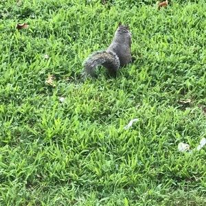 Meet your Posher, Karina