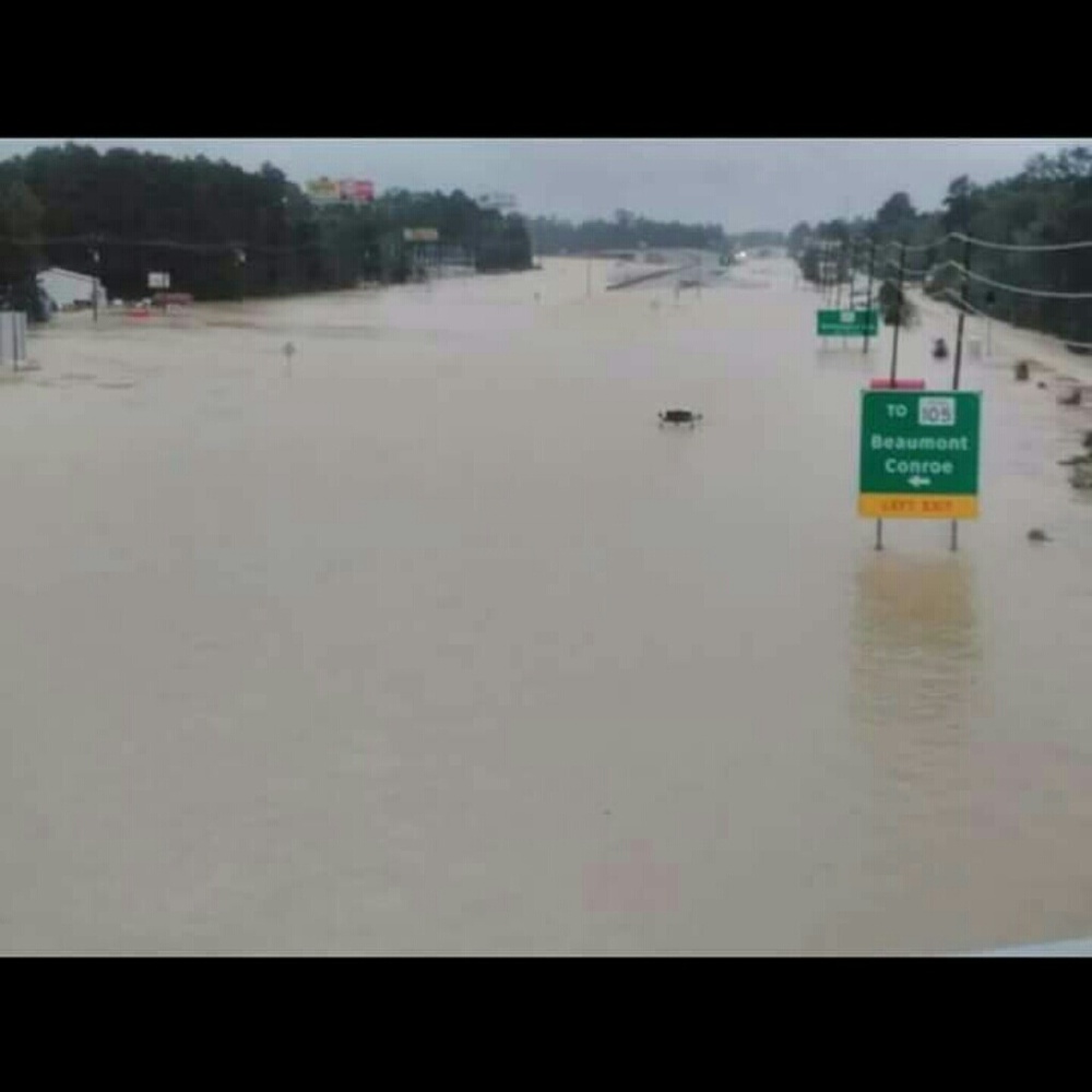 Affected by Hurricane Harvey