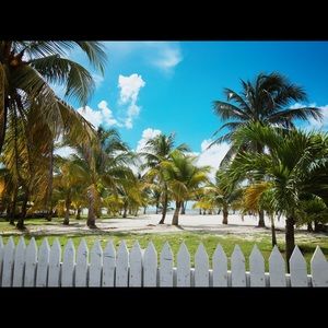 Meet your Posher, Trang