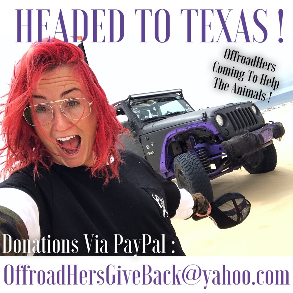 HOME FROM TEXAS !!!!! OMG AMAZING ADVENTURE - Picture 2 of 8