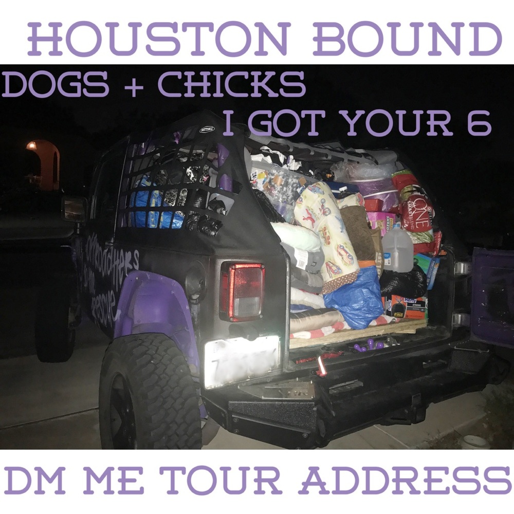 HOME FROM TEXAS !!!!! OMG AMAZING ADVENTURE - Picture 5 of 8