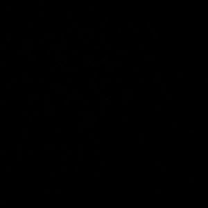 Meet your Posher, Miguel