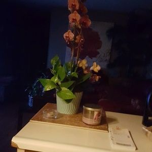 Meet your Posher, Elzbieta