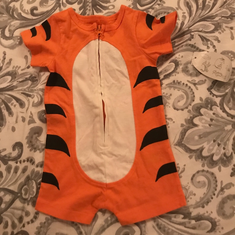 Baby's tiger