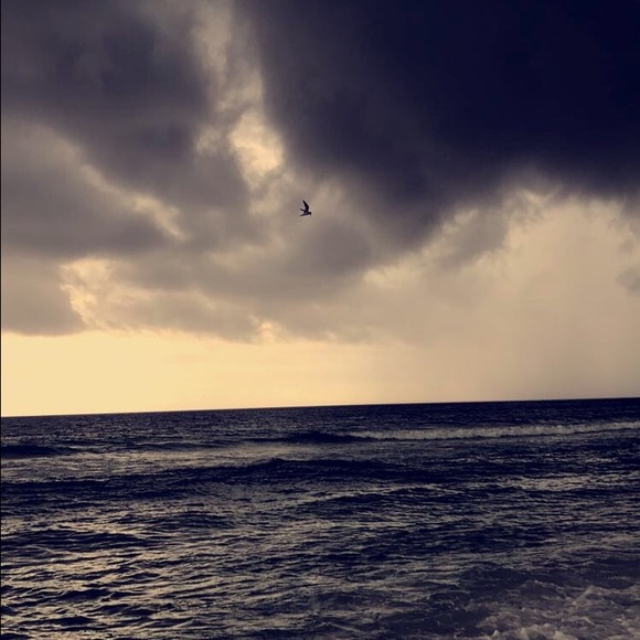 Meet your Posher, Allee - Picture 1 of 1