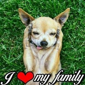 Meet your Posher, Sally