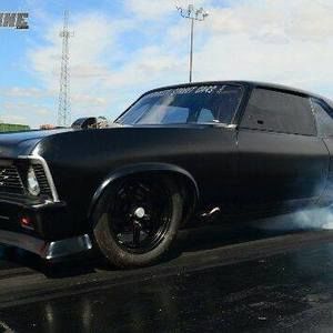 Meet your Posher, Roger