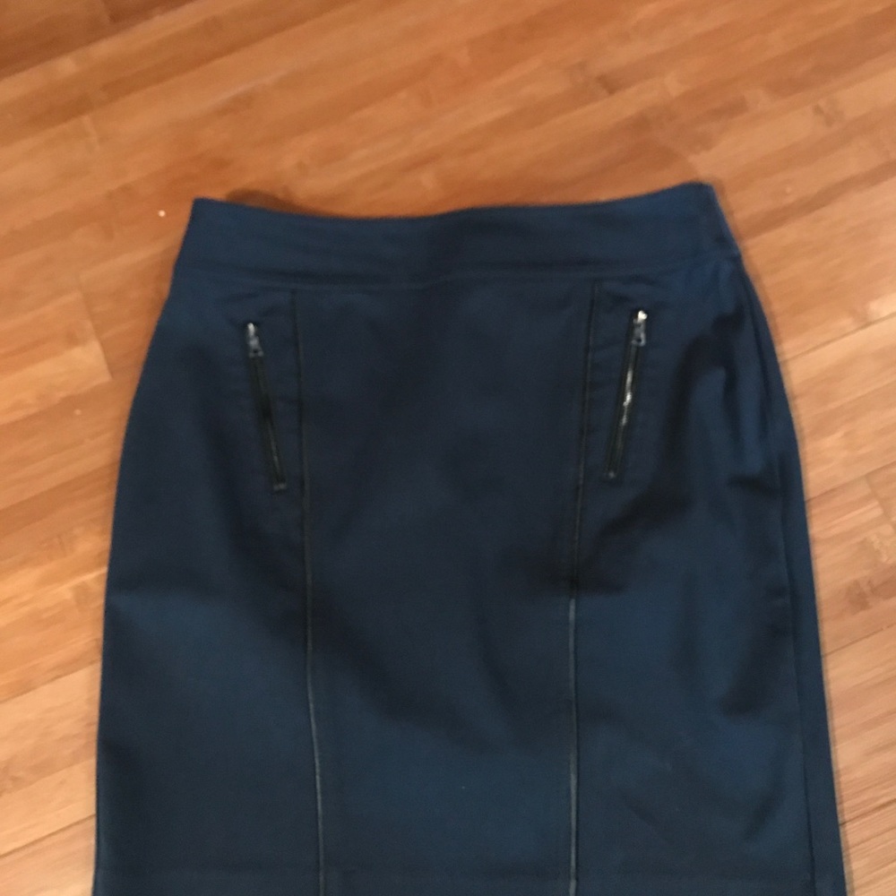 Ann Taylor Pencil Skirt