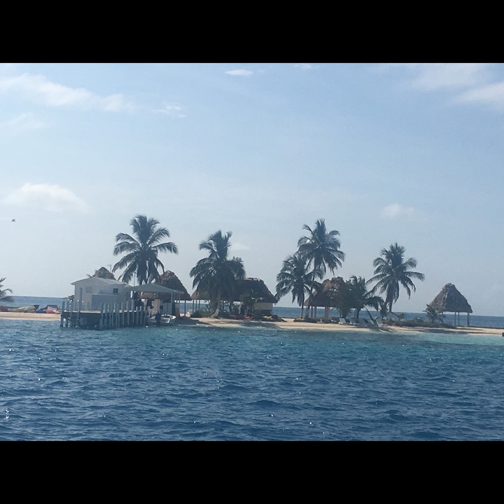 Meet your Posher, Jamie