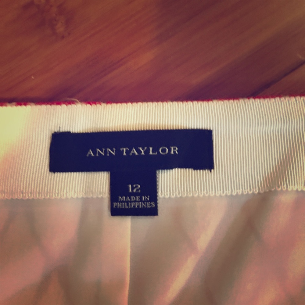 Ann Taylor Skirt