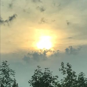 Meet your Posher, Raul