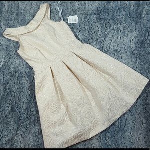 David's Bridal Formal Occassion Dress 10