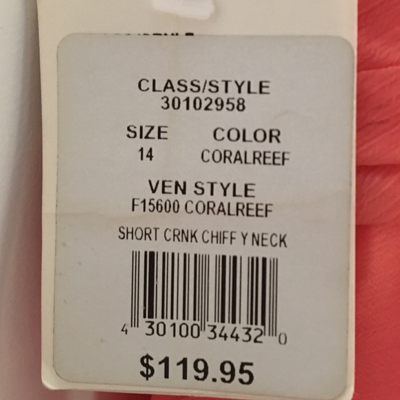 David's Bridal Dress (Coral) - Picture 4 of 4