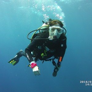 Meet your Posher, Anne