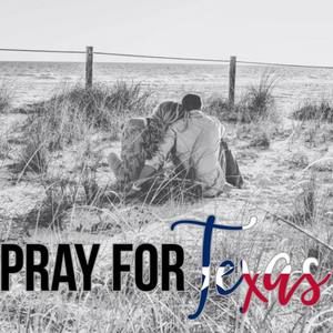 Meet your Posher, Bailey