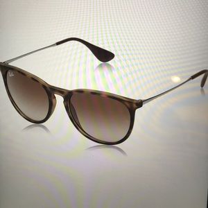 Ray-Ban Erika Sunglasses