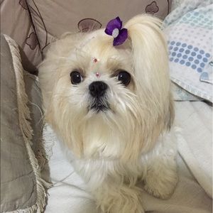 Meet your Posher, Isabela