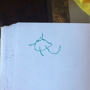 Meet your Posher, Gabriela