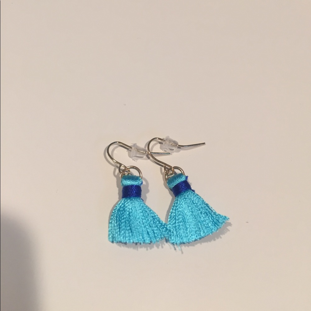 Mini Tassel earrings