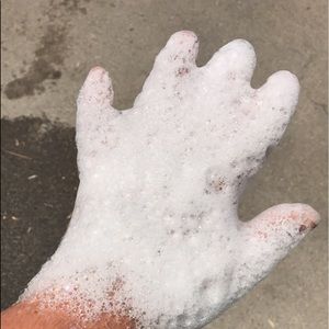 Meet your Posher, Shawn