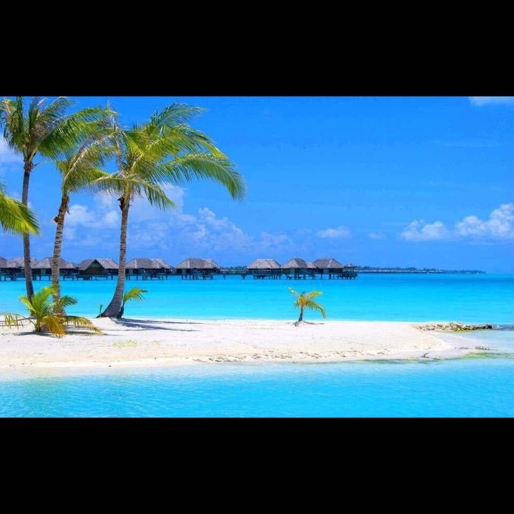 Meet your Posher, Haley