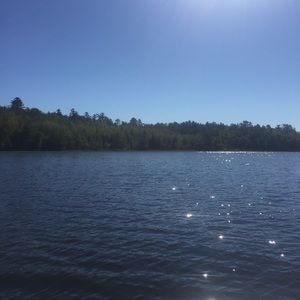 Meet your Posher, Richard