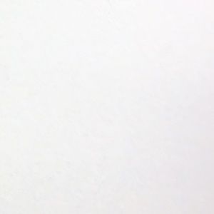 Meet your Posher, Alli