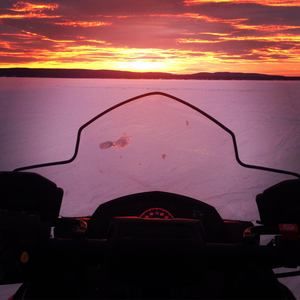 Meet your Posher, Riley