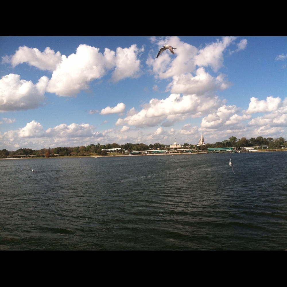 Meet your Posher, Linda