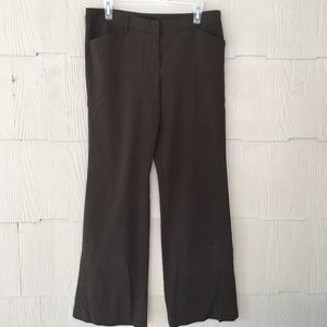 Star City Chocolate Brown Dress Pants