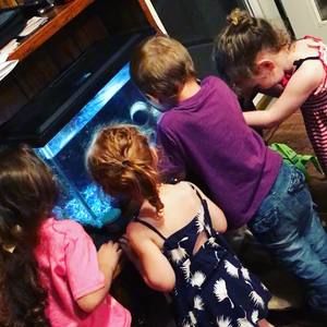 Meet your Posher, Kotye