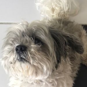 Meet your Posher, Bryanna