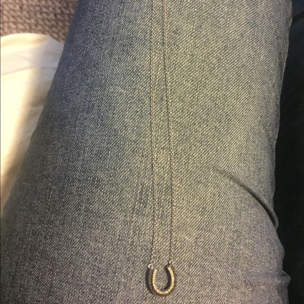 Horseshoe Necklace