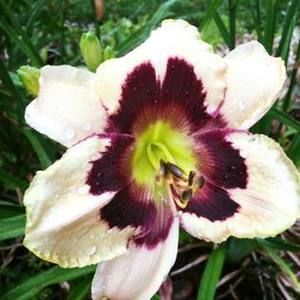 Meet your Posher, Gabrielle