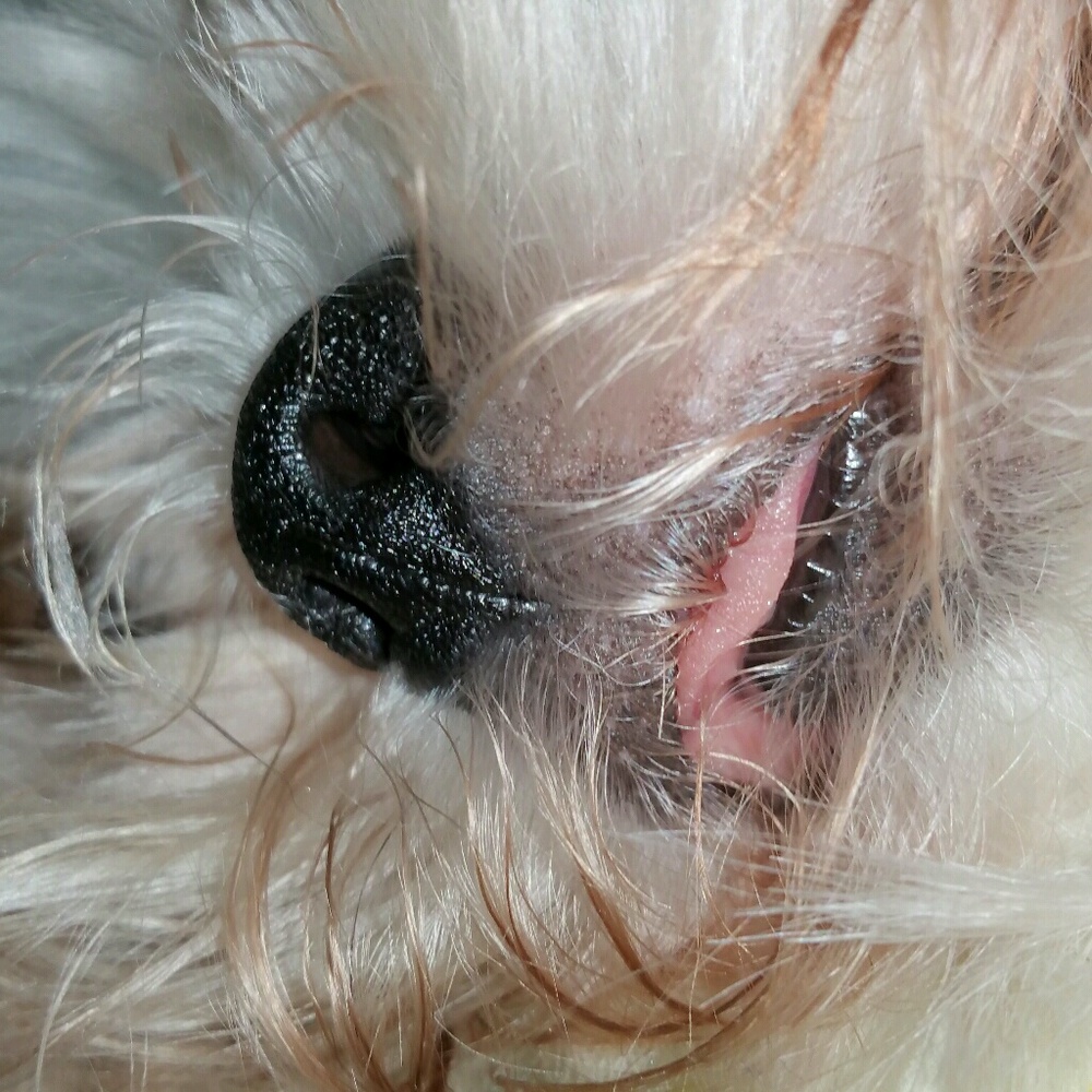 Meet your Posher, Karen