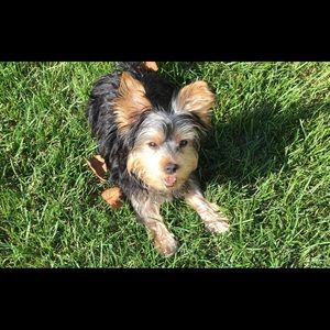 Meet your Posher, Jo