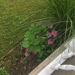 Meet your Posher, Leah