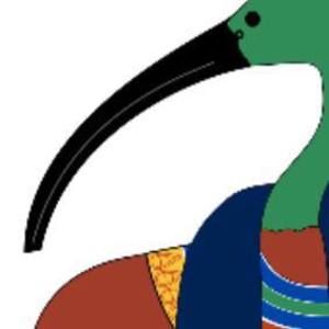 Meet your Posher, Gavin